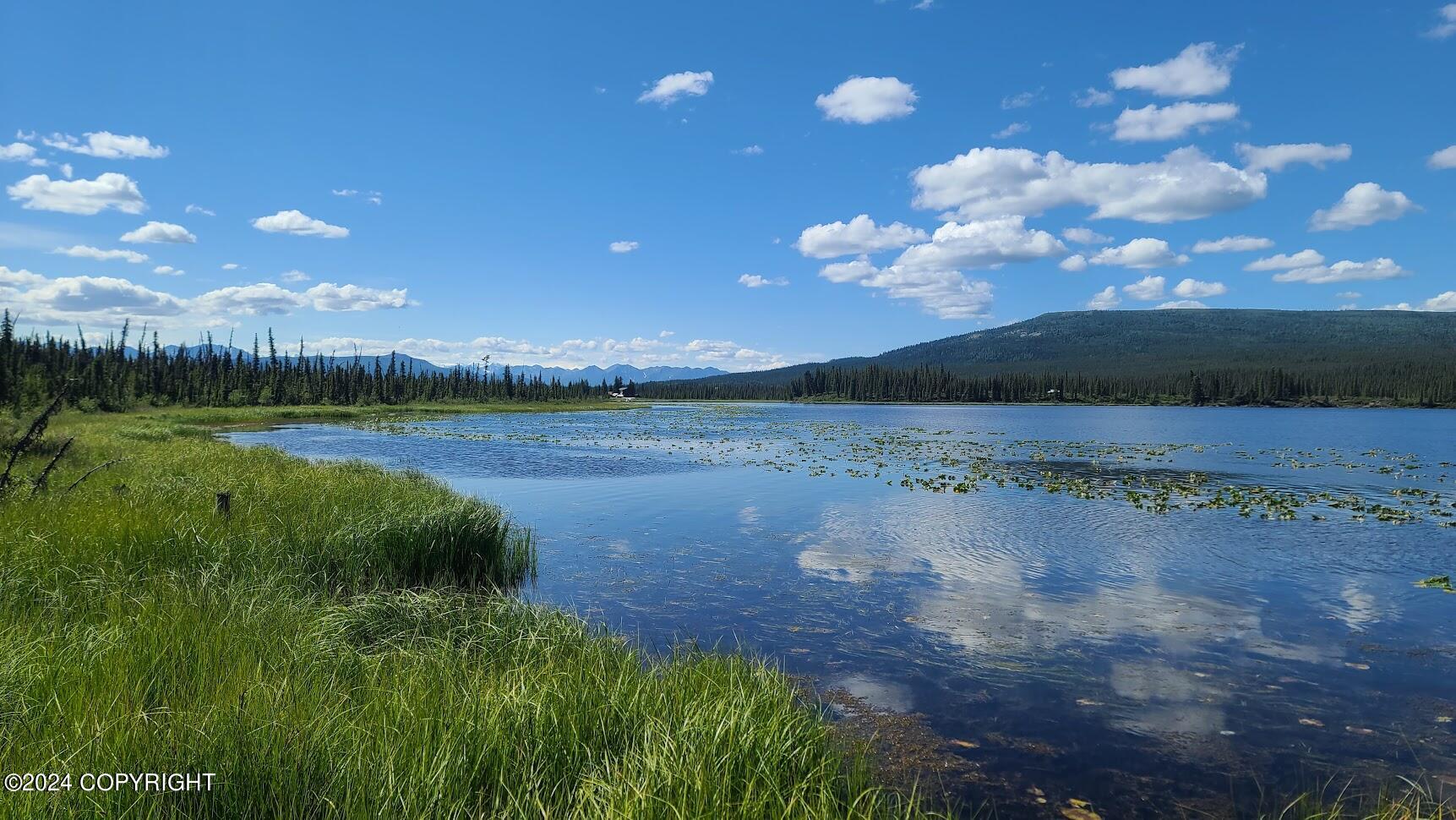 Mile 148 Glenn Highway, Glennallen, Alaska image 16