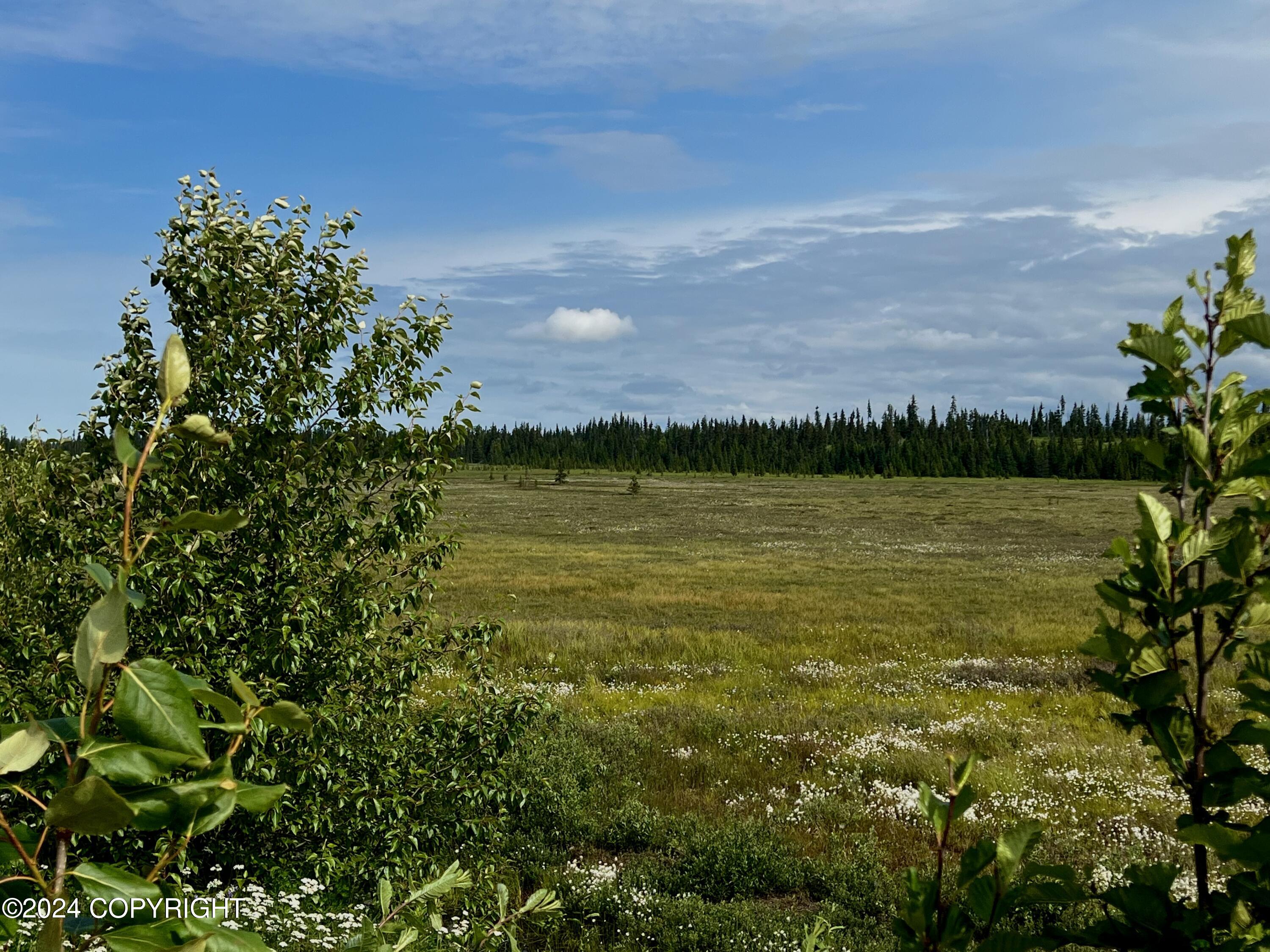 Lot 2 Aquila Wings Road, Anchor Point, Alaska image 10