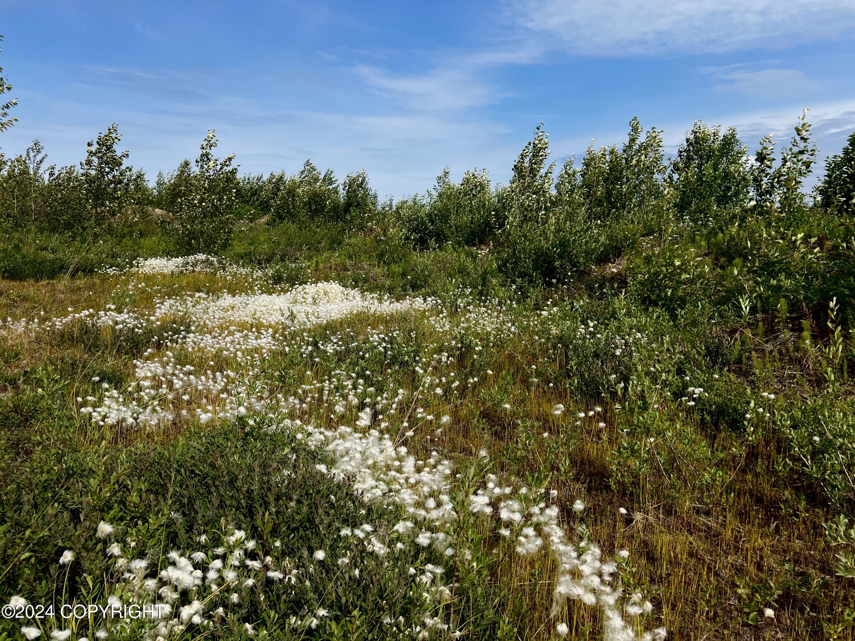 Lot 2 Aquila Wings Road, Anchor Point, Alaska image 9