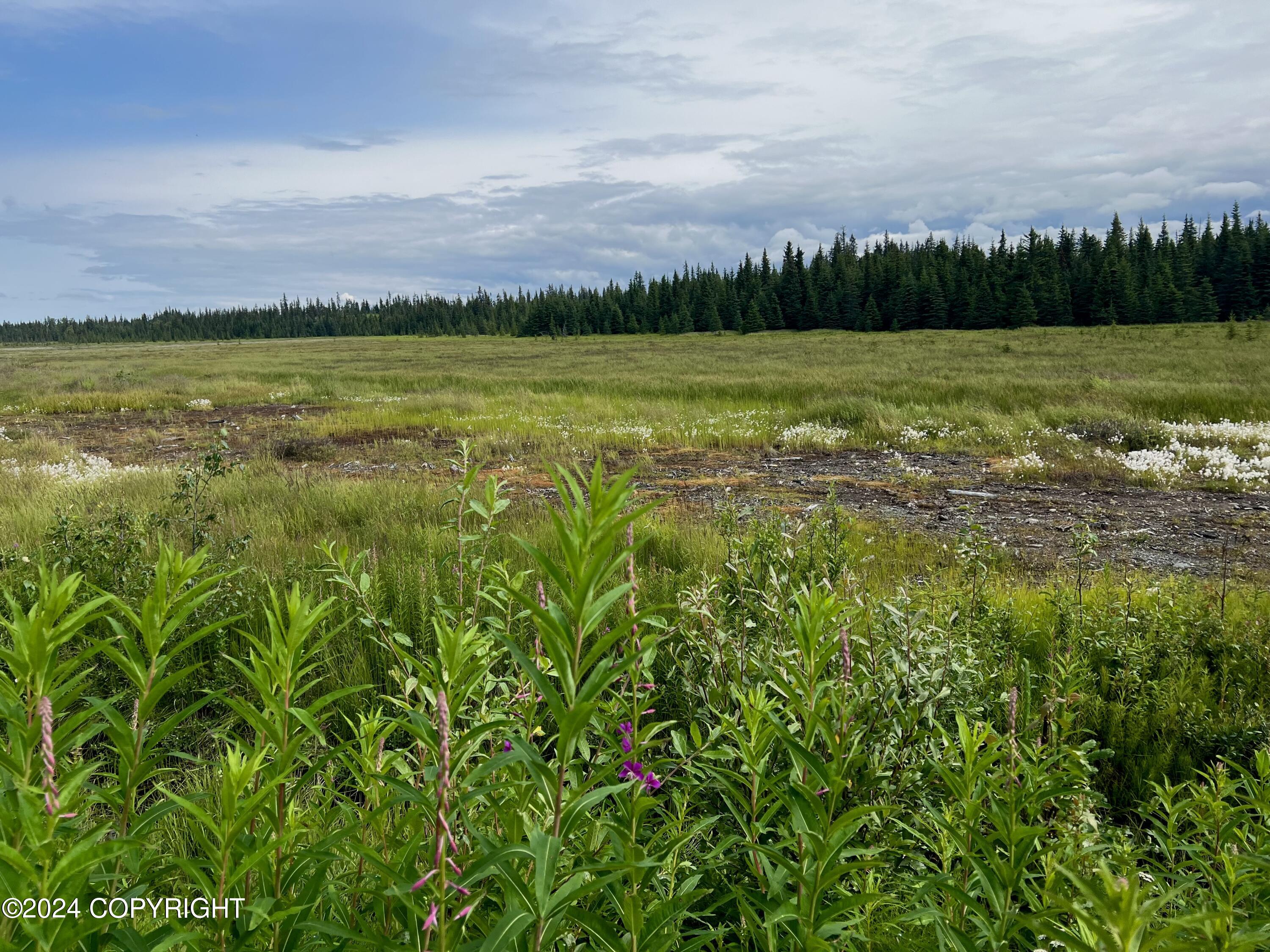 Lot 2 Aquila Wings Road, Anchor Point, Alaska image 12