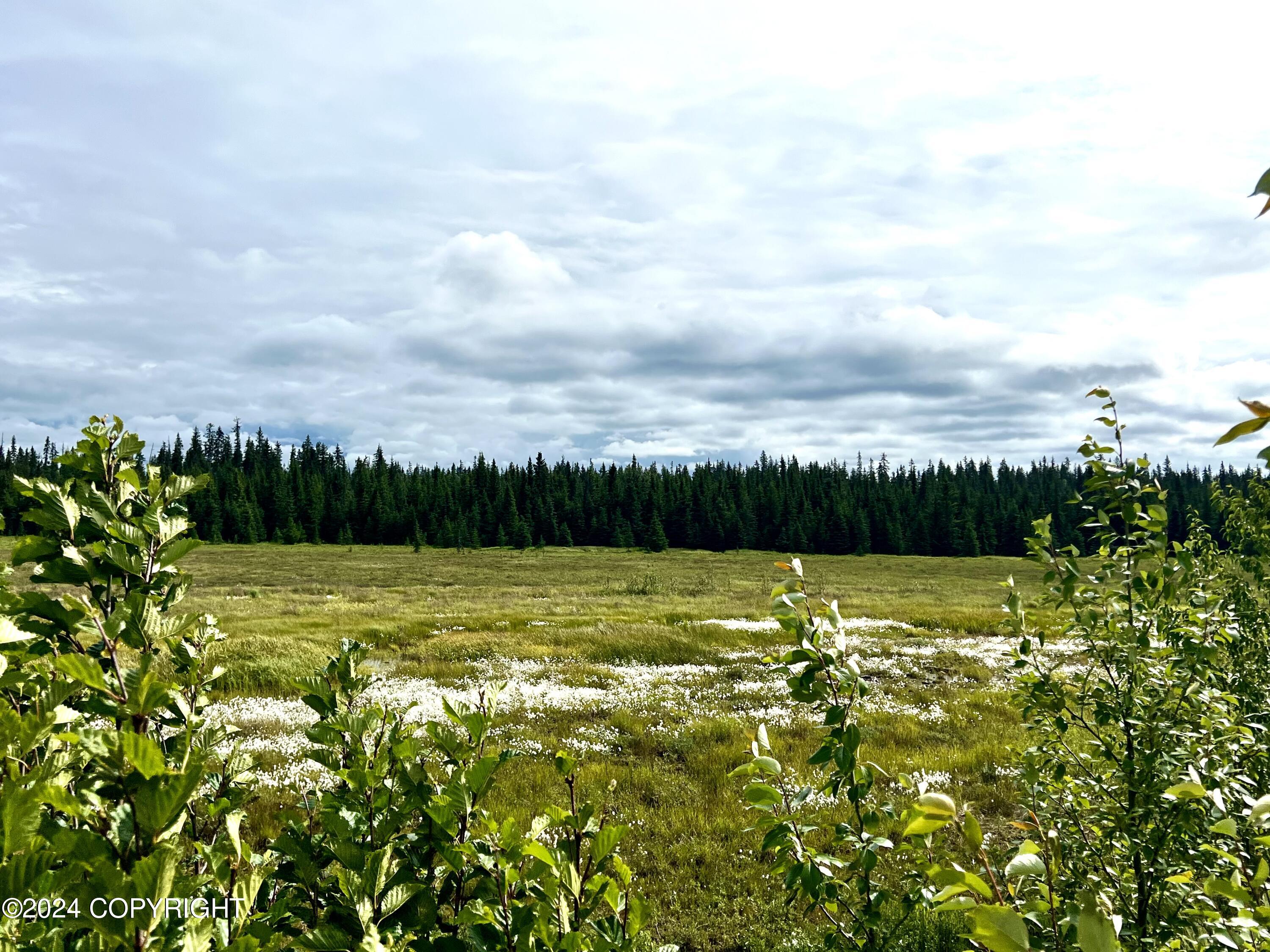 Lot 2 Aquila Wings Road, Anchor Point, Alaska image 13