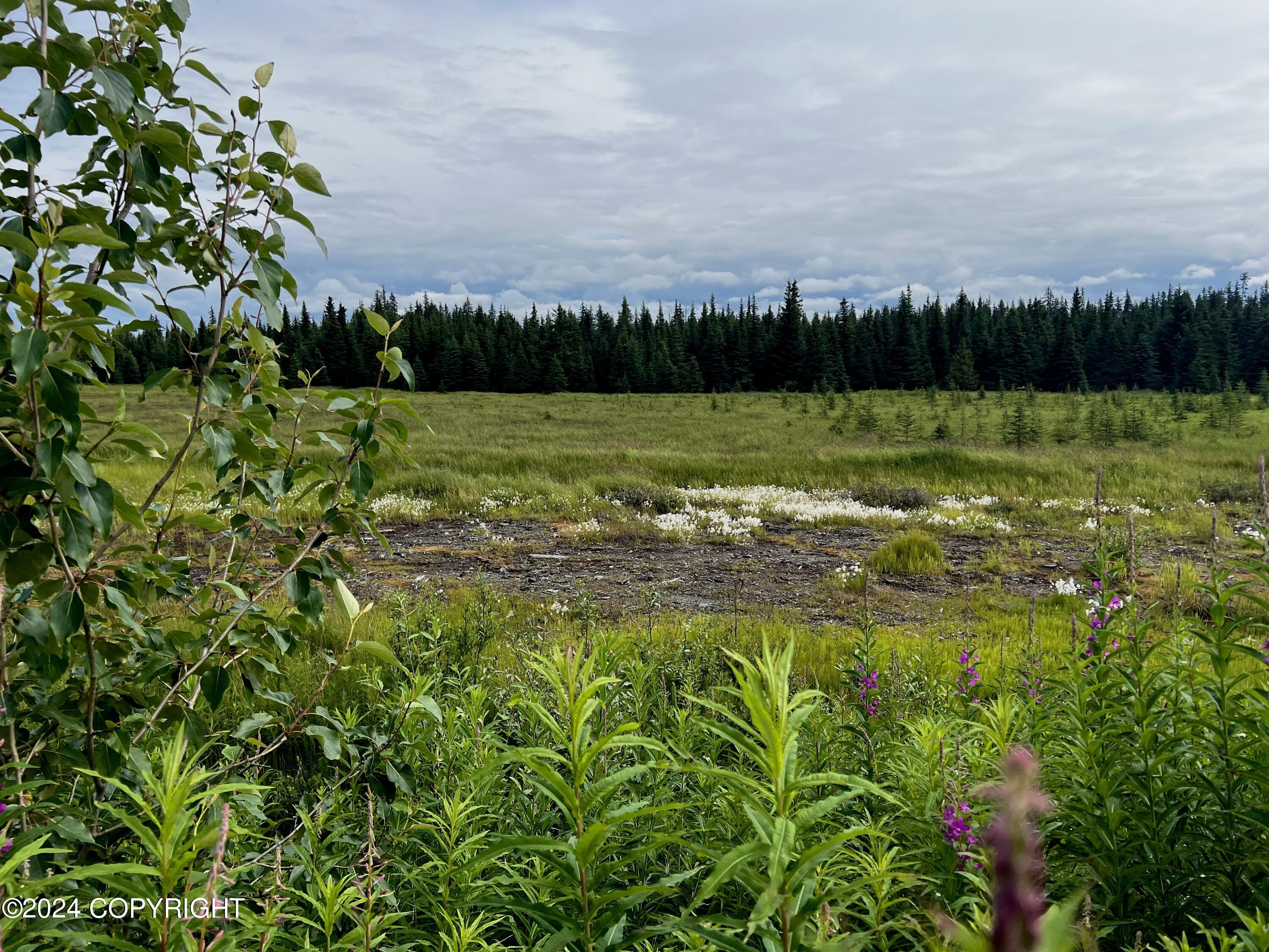 Lot 2 Aquila Wings Road, Anchor Point, Alaska image 11