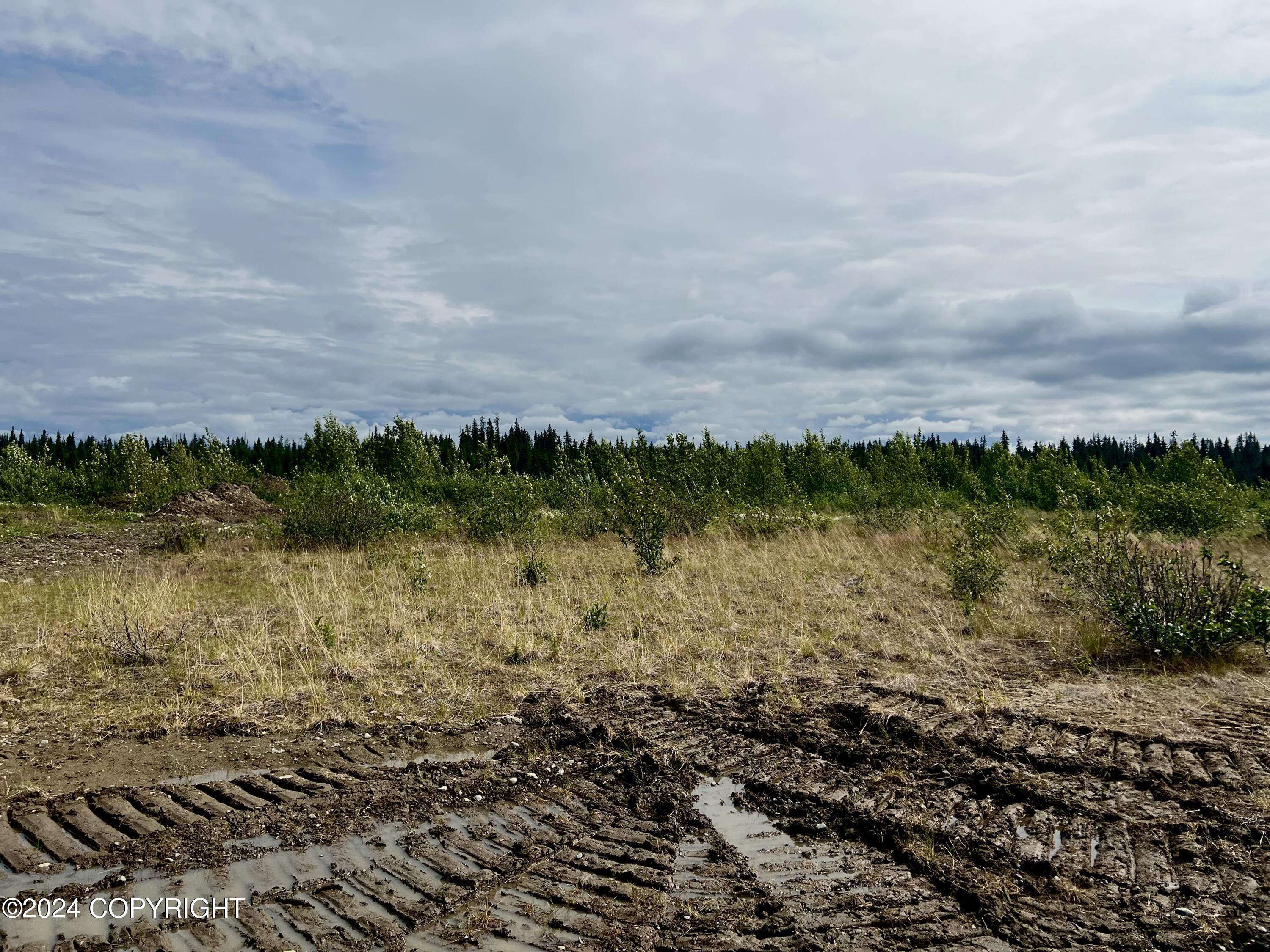 Lot 2 Aquila Wings Road, Anchor Point, Alaska image 15