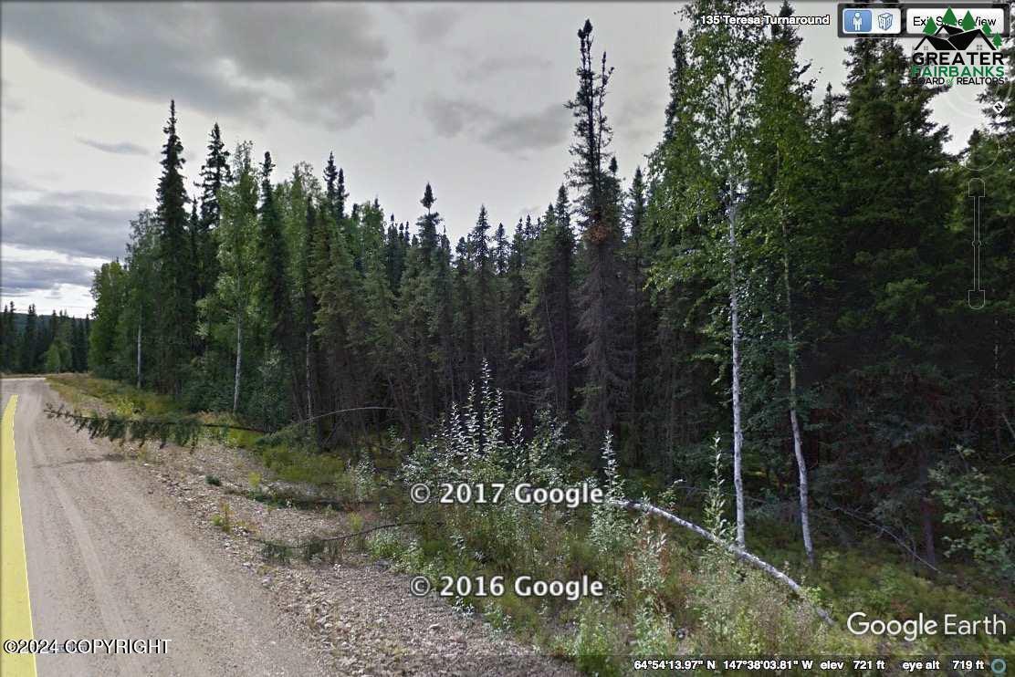 L7 B1 N Teresa Turnaround/mcgrath Dr, Fairbanks, Alaska image 1