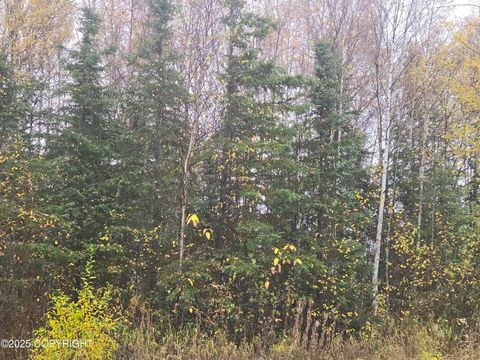 Vacant Land For Sale - L4 B1 Brenden Boulevard<br/> Copper Center, AK 99573
