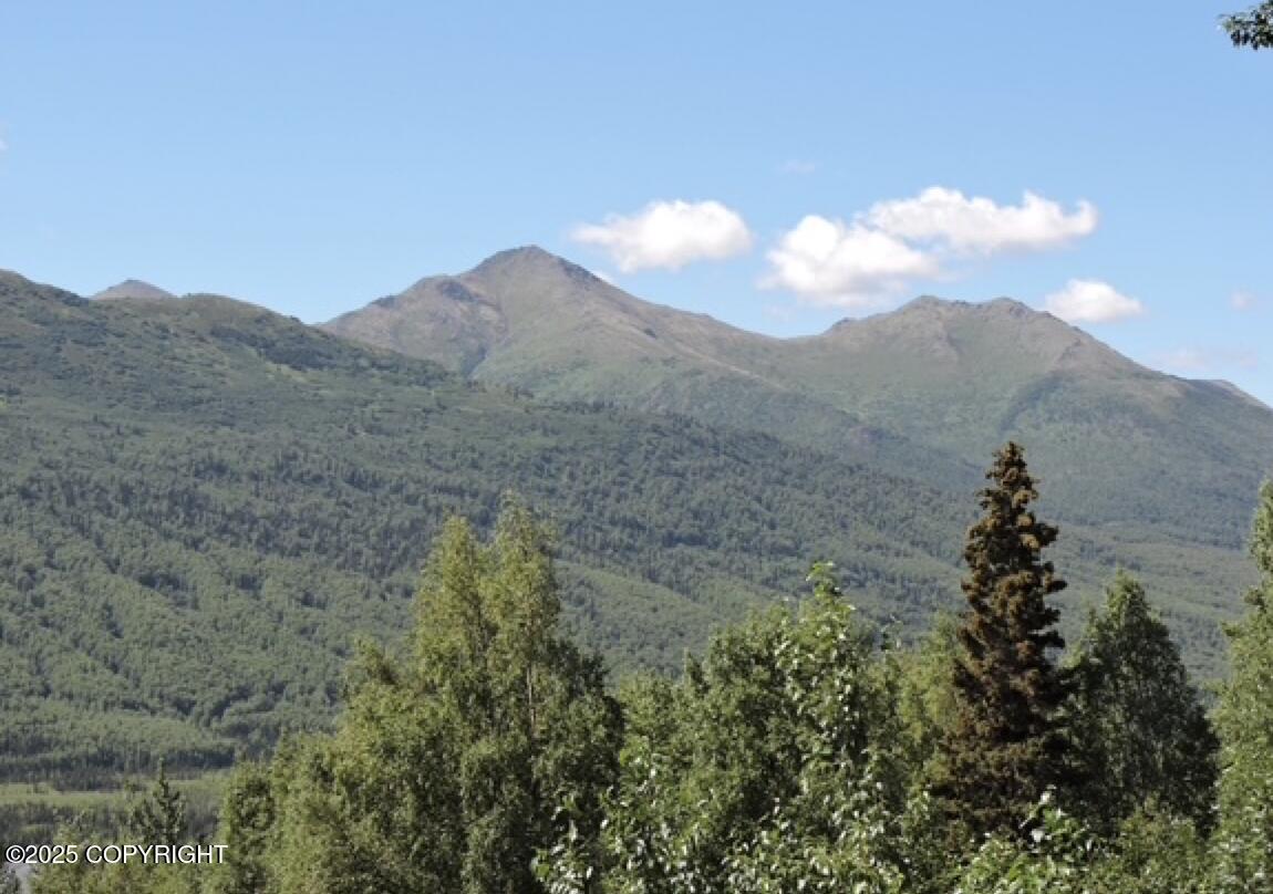 000 Vallihi Circle, Eagle River, Alaska image 2