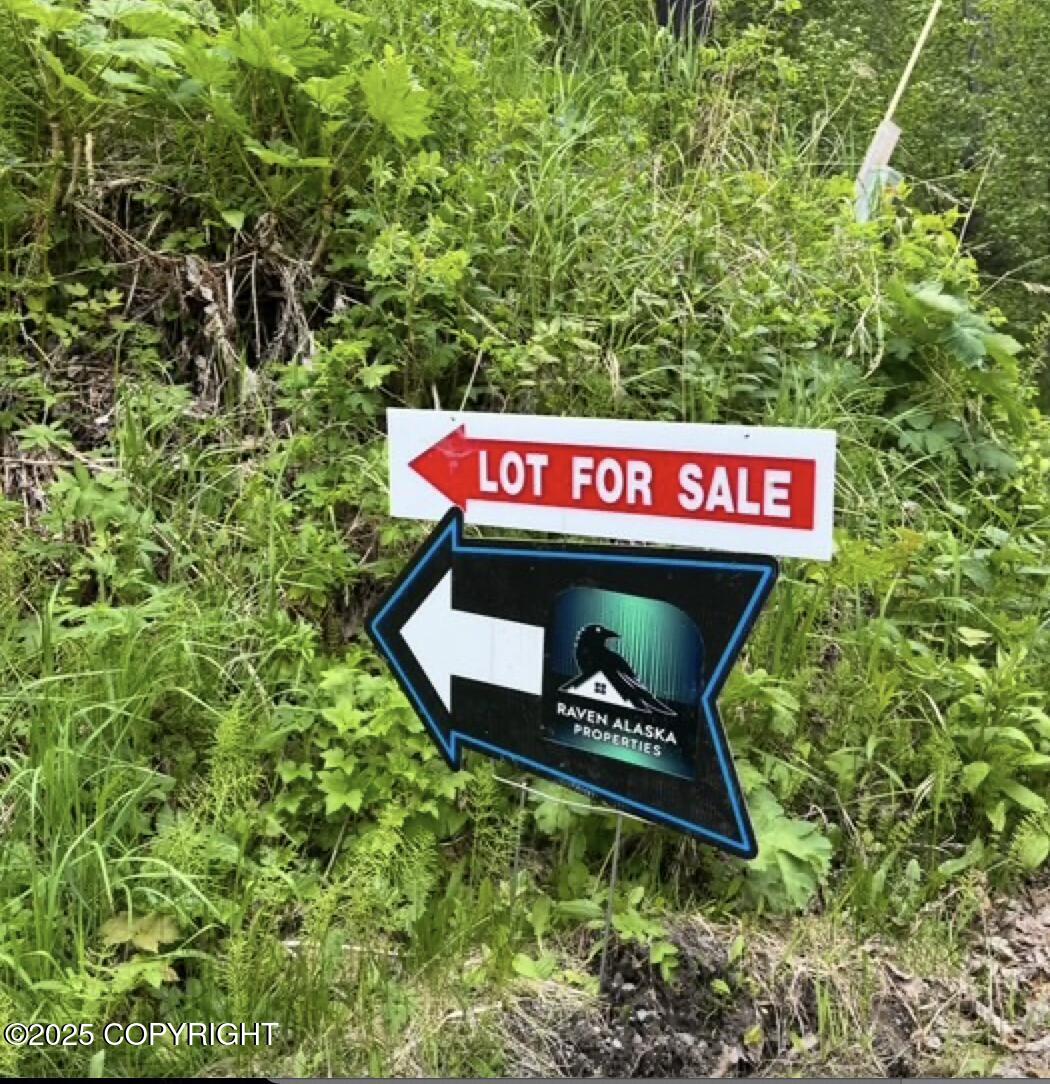000 Vallihi Circle, Eagle River, Alaska image 1