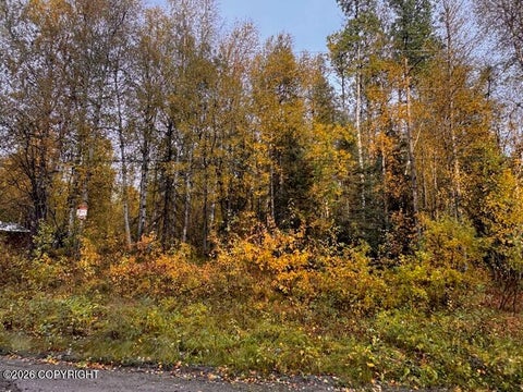 Photo of 12913 N Pettis Drive, Willow, AK 99688 (MLS # 26-12153)