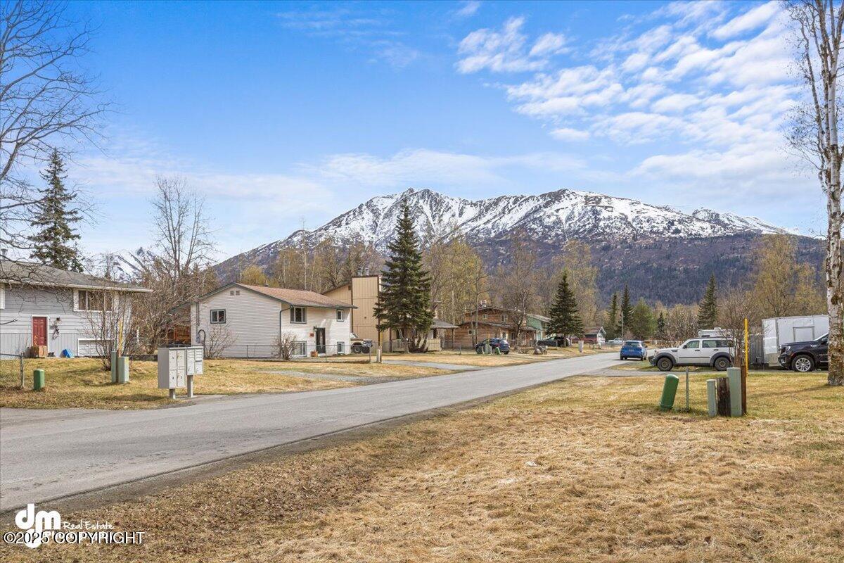 10308 Caribou Street, Eagle River, Alaska image 28