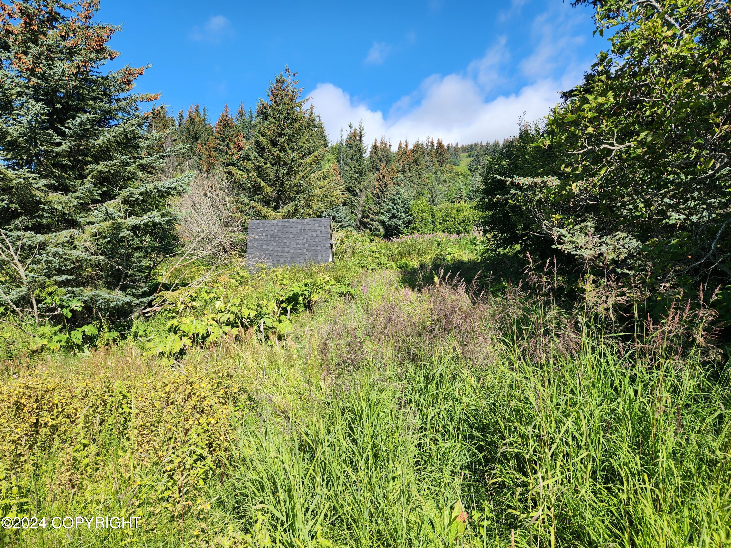 1780 Sterling Highway, Homer, Alaska image 1