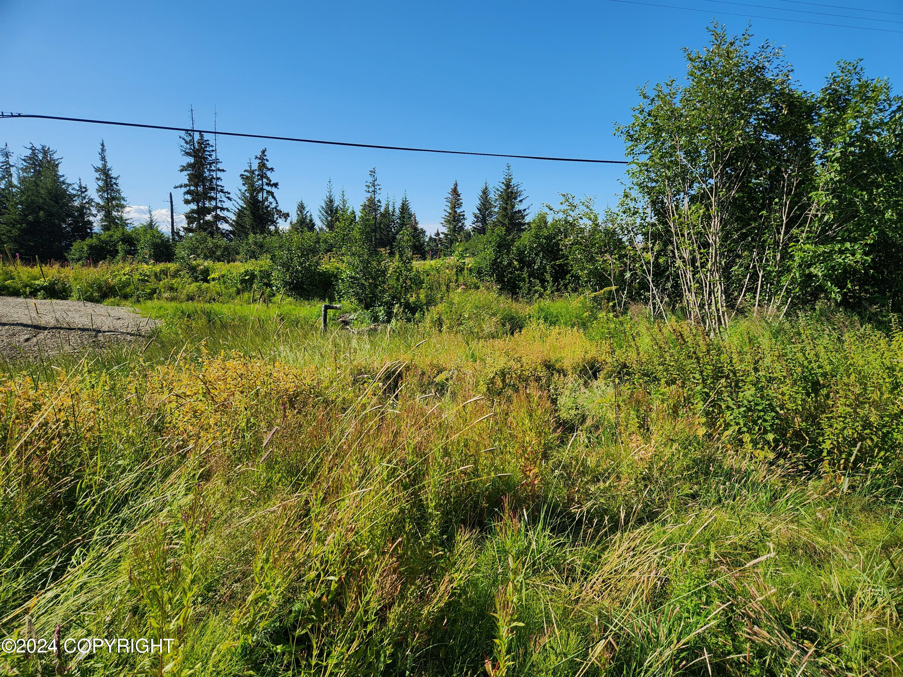 1780 Sterling Highway, Homer, Alaska image 9
