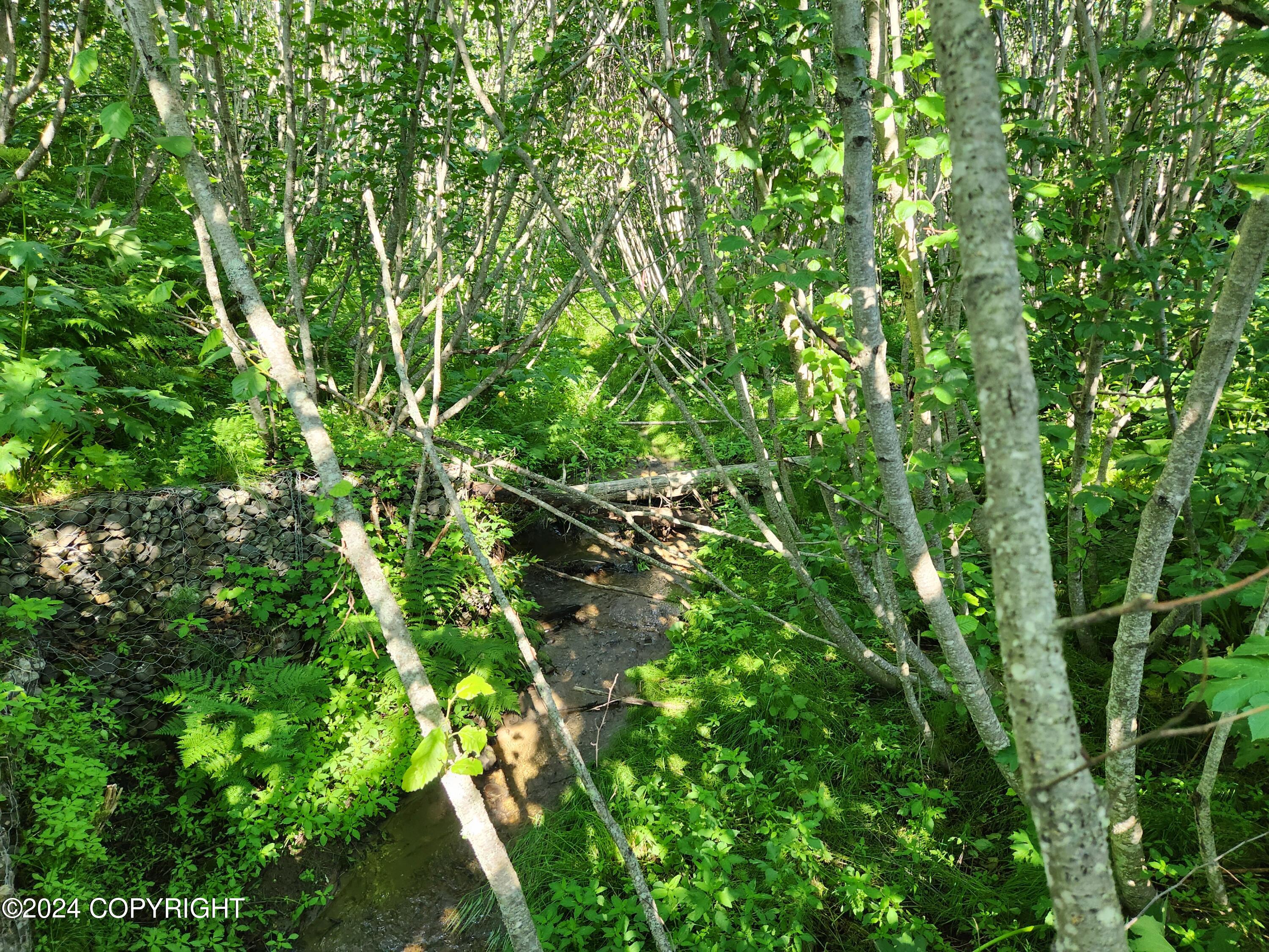 1780 Sterling Highway, Homer, Alaska image 4
