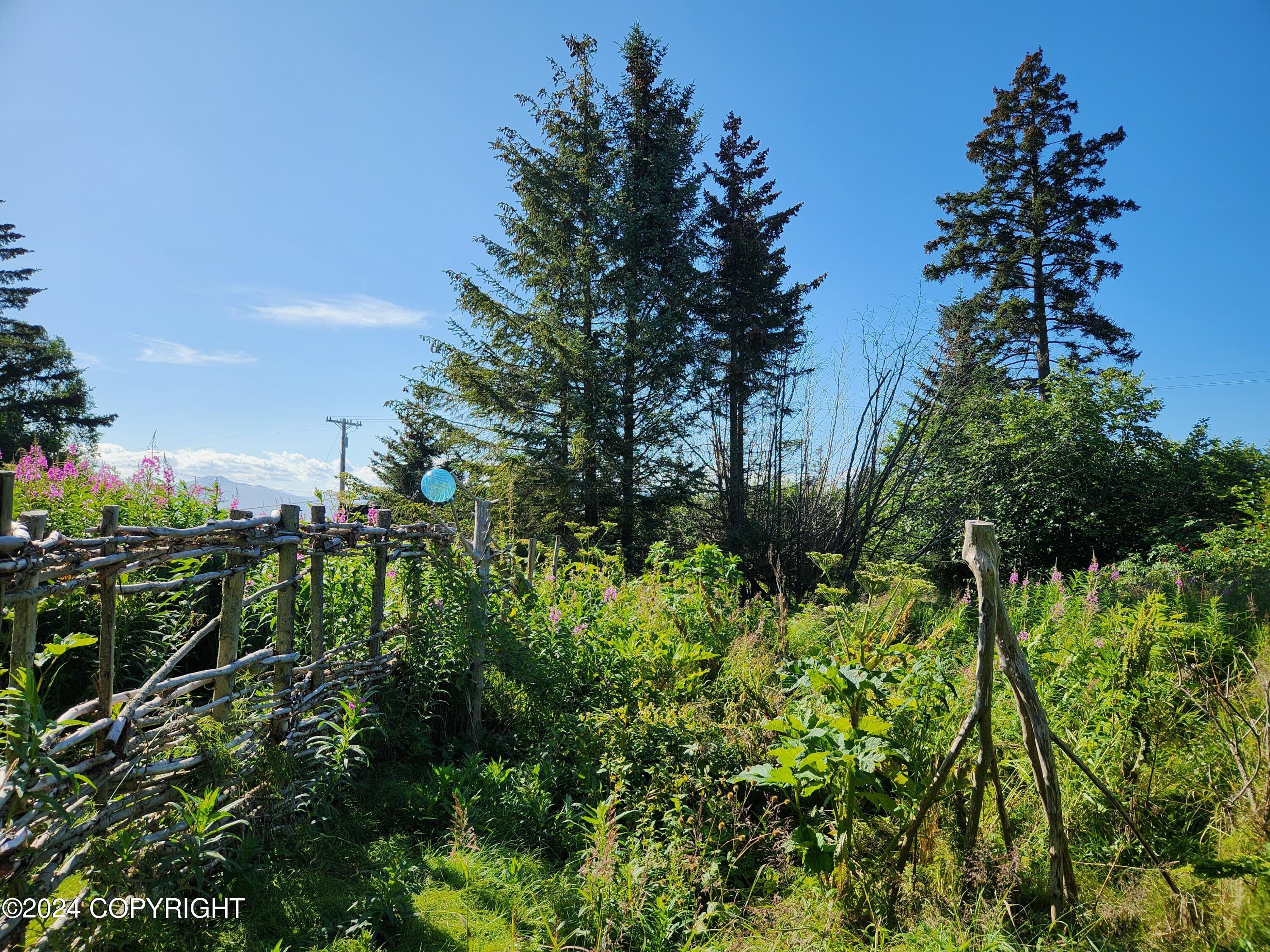 1780 Sterling Highway, Homer, Alaska image 7