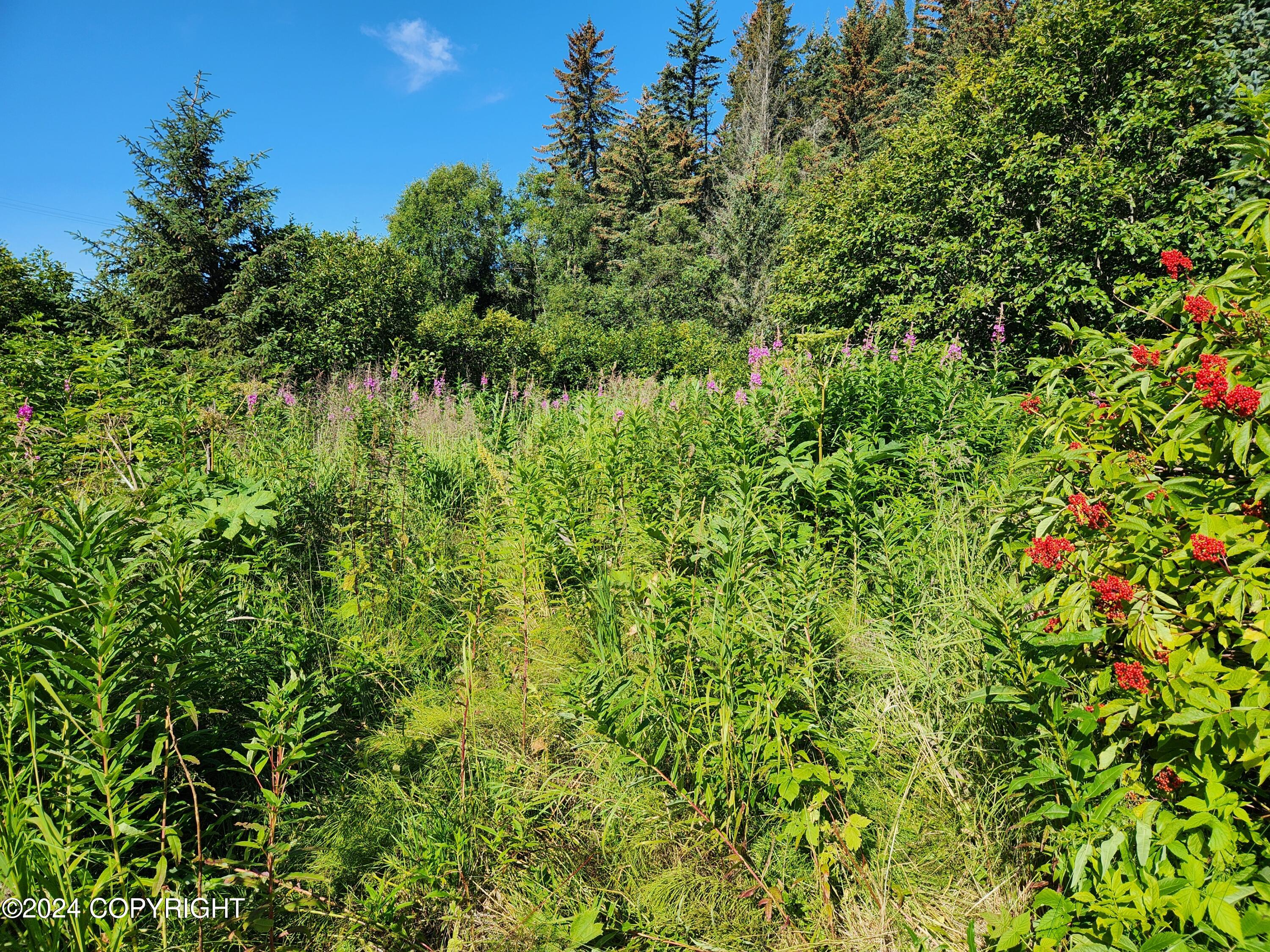 1780 Sterling Highway, Homer, Alaska image 6