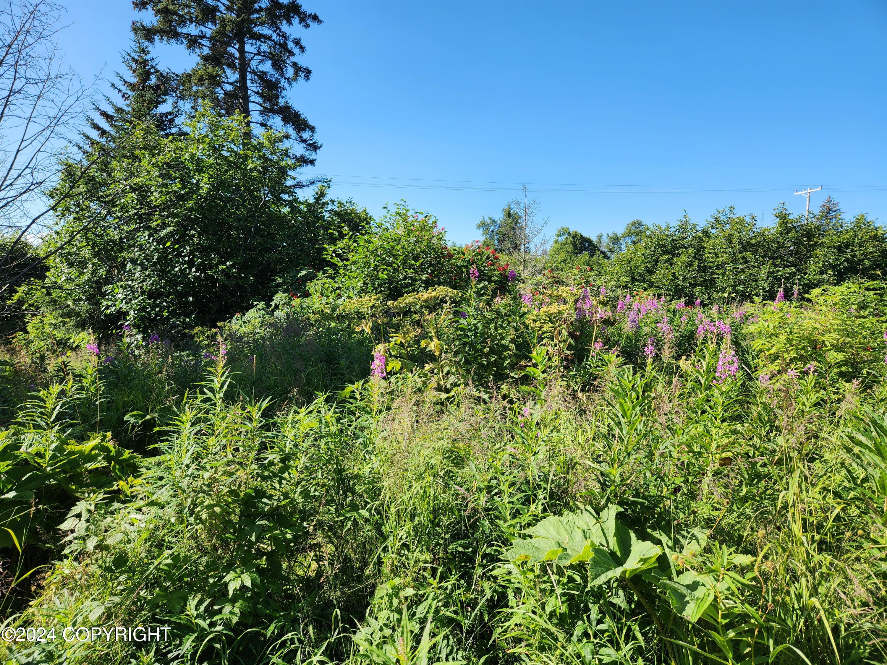 1780 Sterling Highway, Homer, Alaska image 5