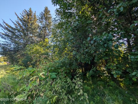 Vacant Land For Sale - 435 Soundview Avenue<br/> Homer, AK 99603