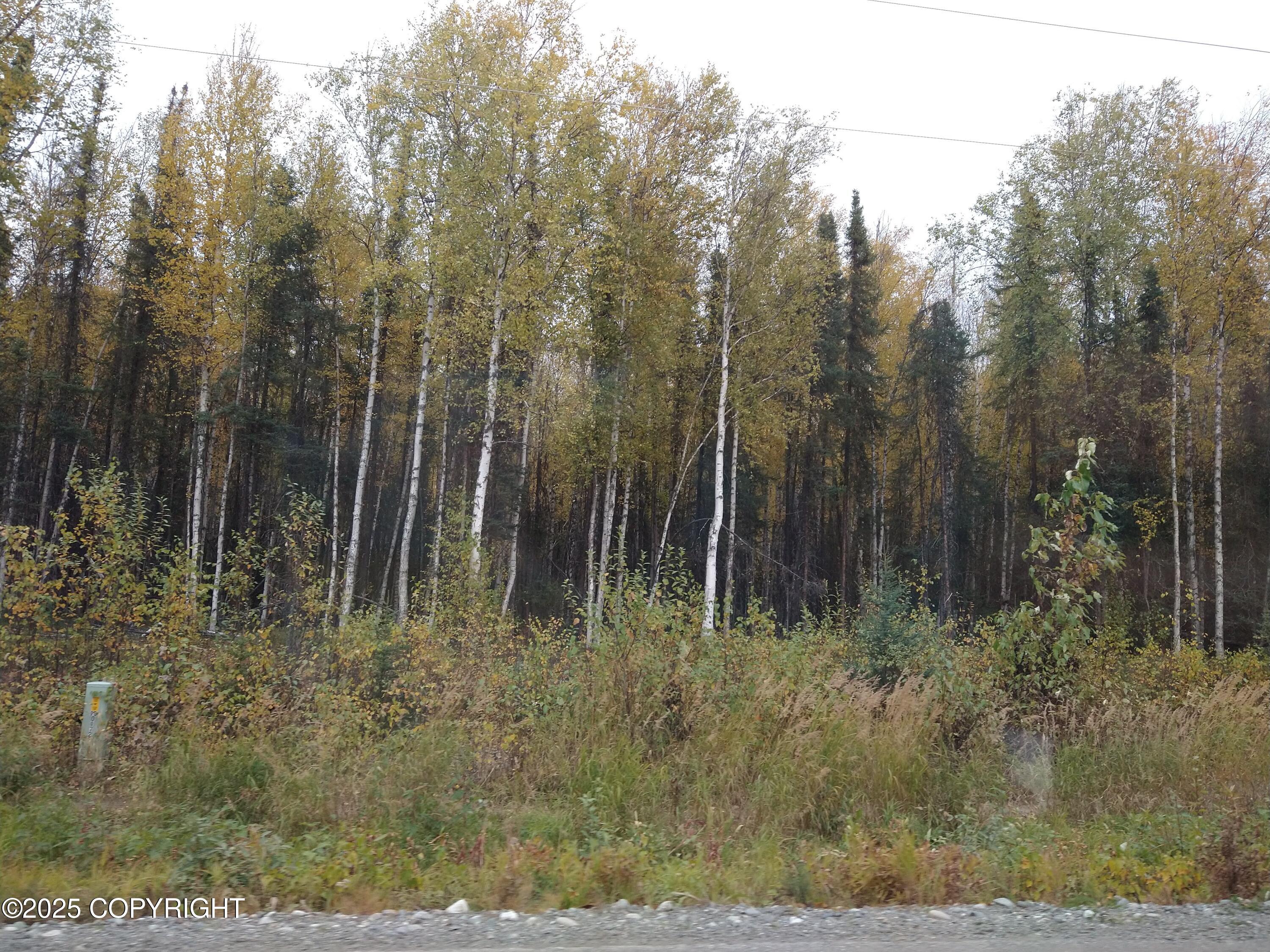 2740 N Gunflint Trail, Wasilla, Alaska image 2