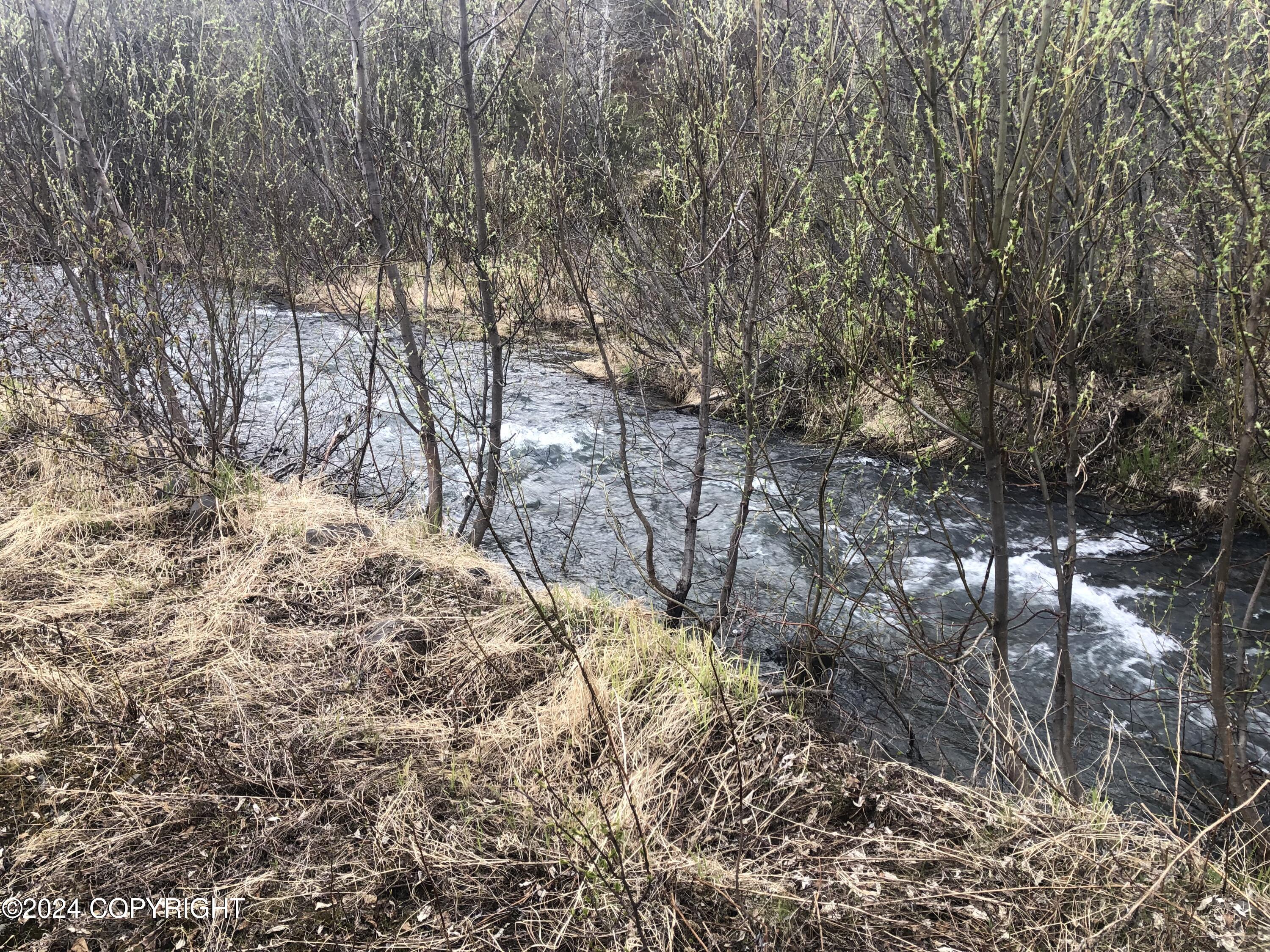 000 Marvel Creek Gold Mine - North
