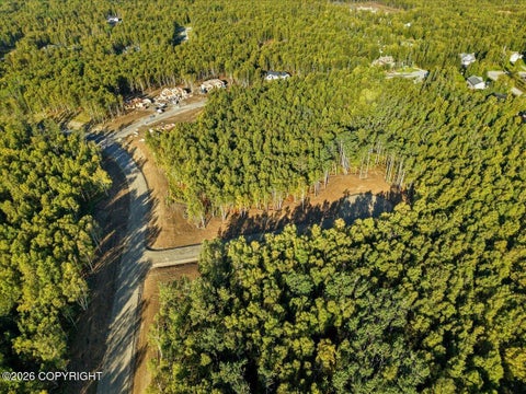 Vacant Land For Sale - L19 B3 E Beverly Ann Lane<br/> Wasilla, AK 99654