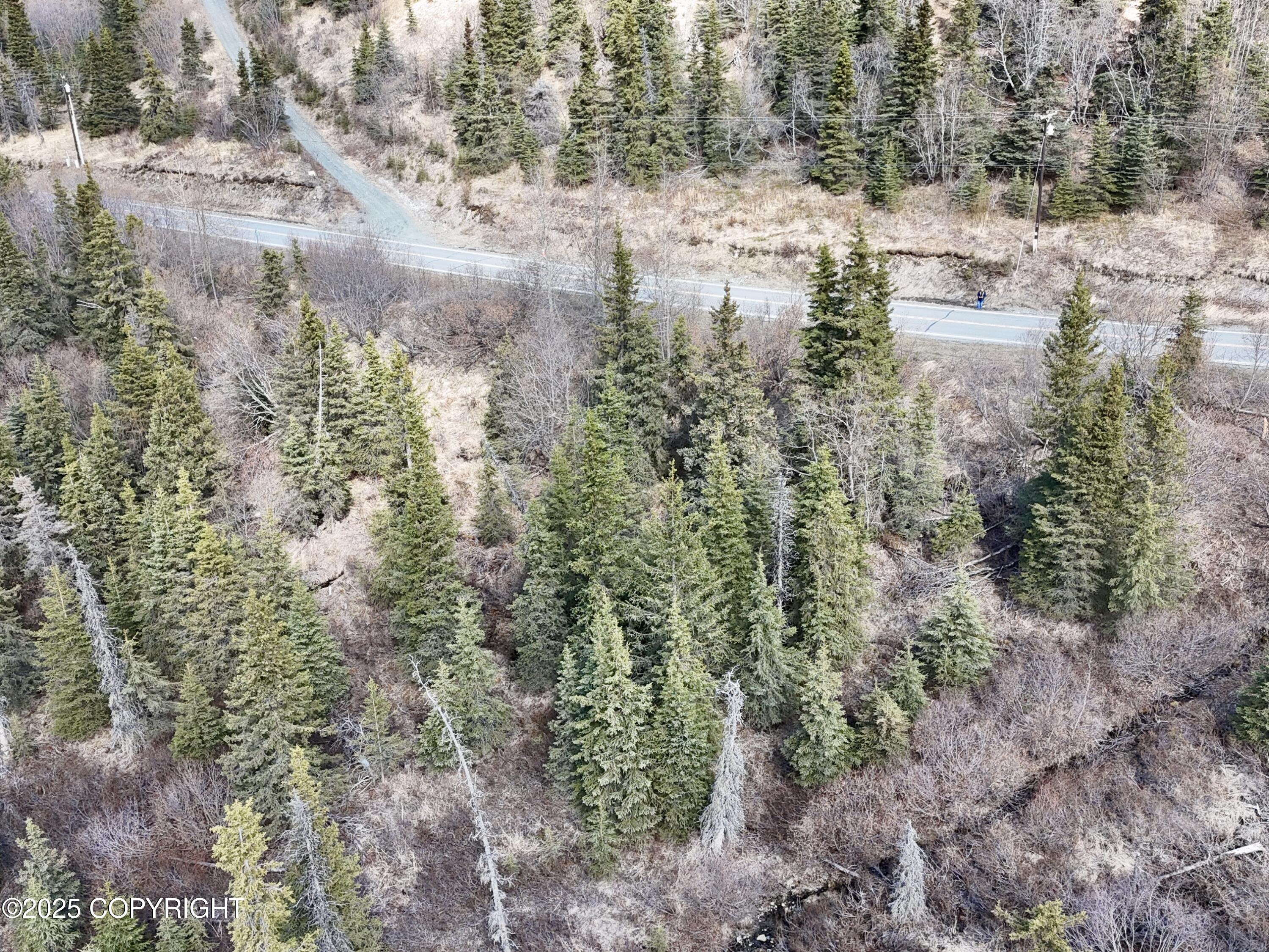 Mile 6.6 Hiland Road, Eagle River, Alaska image 5