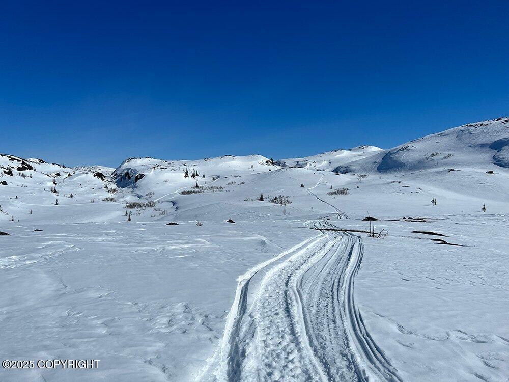 26004 S S Gadol Drive, Talkeetna, Alaska image 6