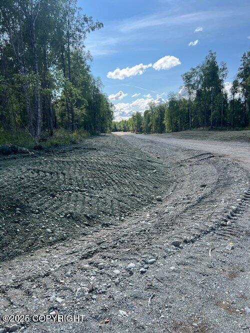 26004 S S Gadol Drive, Talkeetna, Alaska image 13