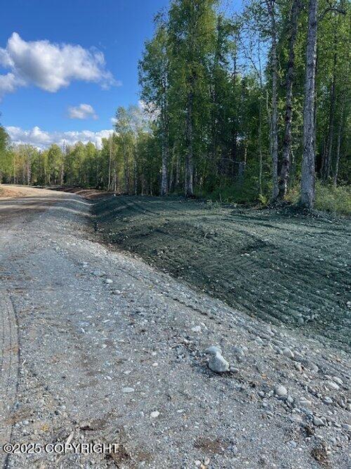 26004 S S Gadol Drive, Talkeetna, Alaska image 12