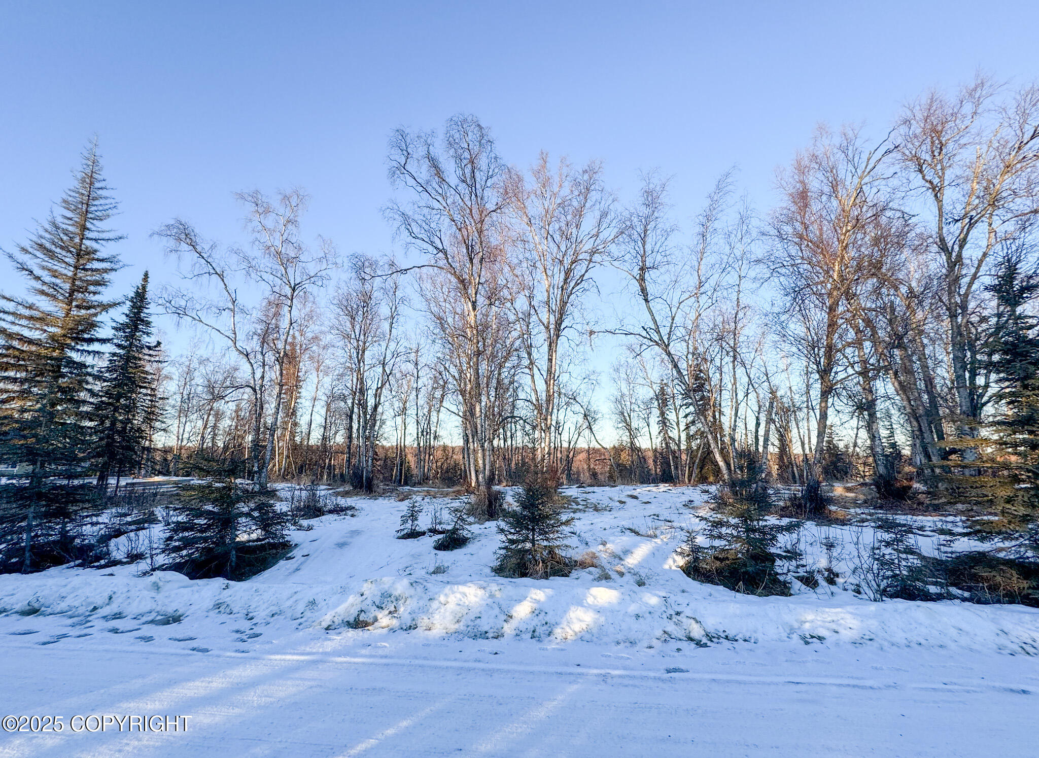 125 Judy Lane, Soldotna, Texas image 1