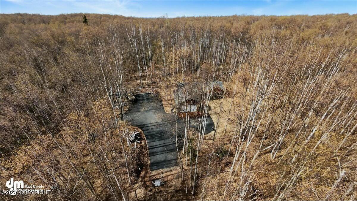 13670 S Knik Goose Bay Road, Wasilla, Alaska image 46