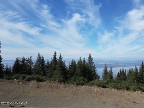 Vacant Land For Sale - L13 Panoramic Circle<br/> Anchorage, AK 99516