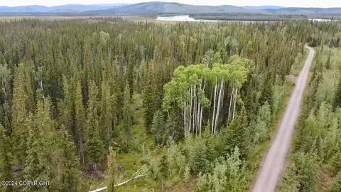 Vacant Land For Sale - 1327.6 B4 Alaska Highway<br/> Tok, ID 99780