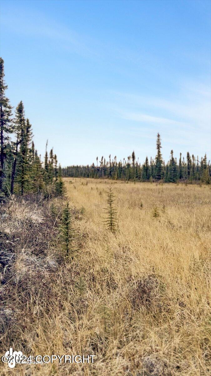 Mile 183.5 Glenn Highway, Glennallen, Alaska image 2