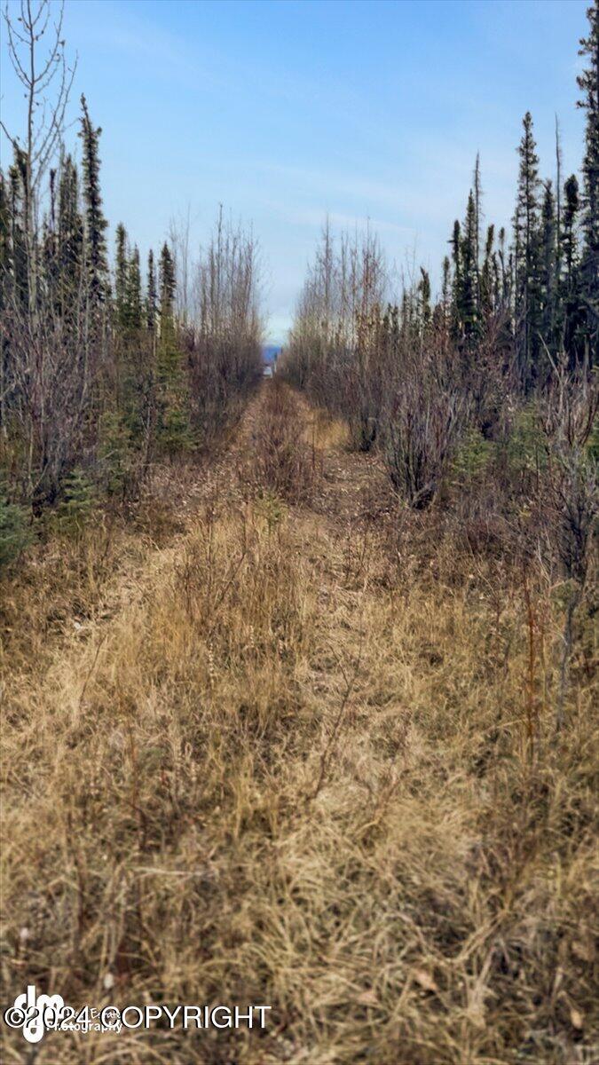 Mile 183.5 Glenn Highway, Glennallen, Alaska image 1