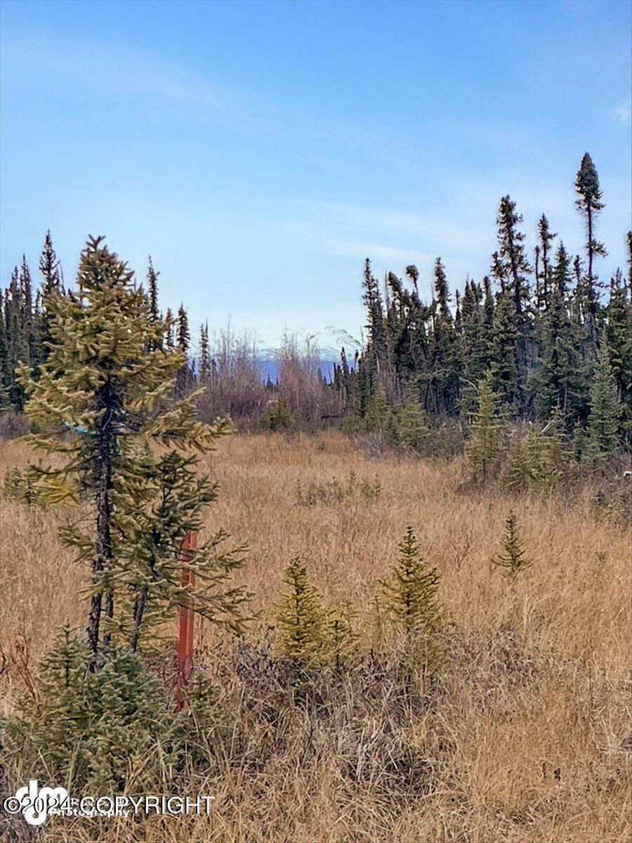 Mile 183.5 Glenn Highway, Glennallen, Alaska image 3