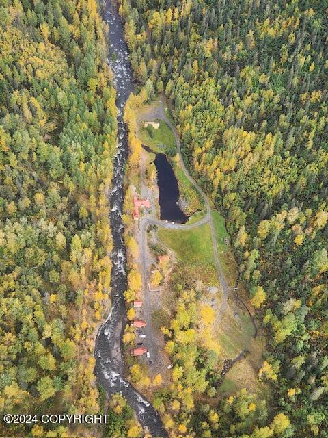 60995 Resurrection Creek Road