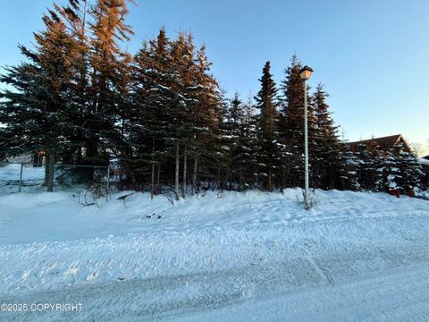 Vacant Land For Sale - 1205 Equinox Way<br/> Kenai, AK 99611