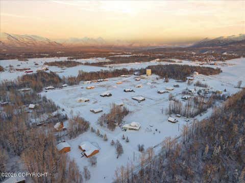 Vacant Land For Sale - L3 E Fig Circle<br/> Palmer, AK 99645