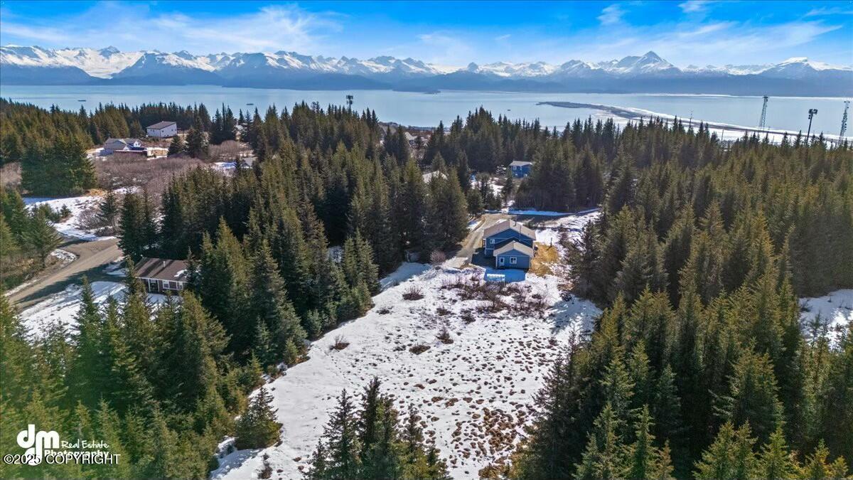 1110 Kalalock Court, Homer, Alaska image 9