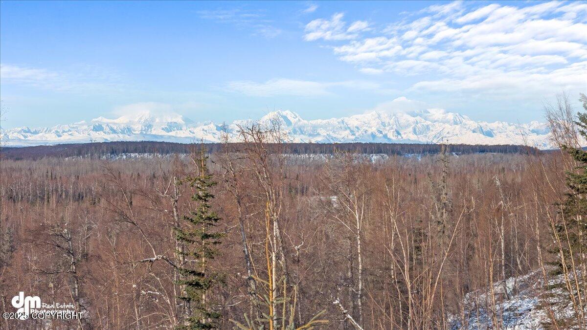 40327 S Malaspina Loop, Talkeetna, Alaska image 8