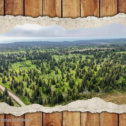 Vacant Land For Sale - 67212 Homestead Road<br/> Ninilchik, AK 99639