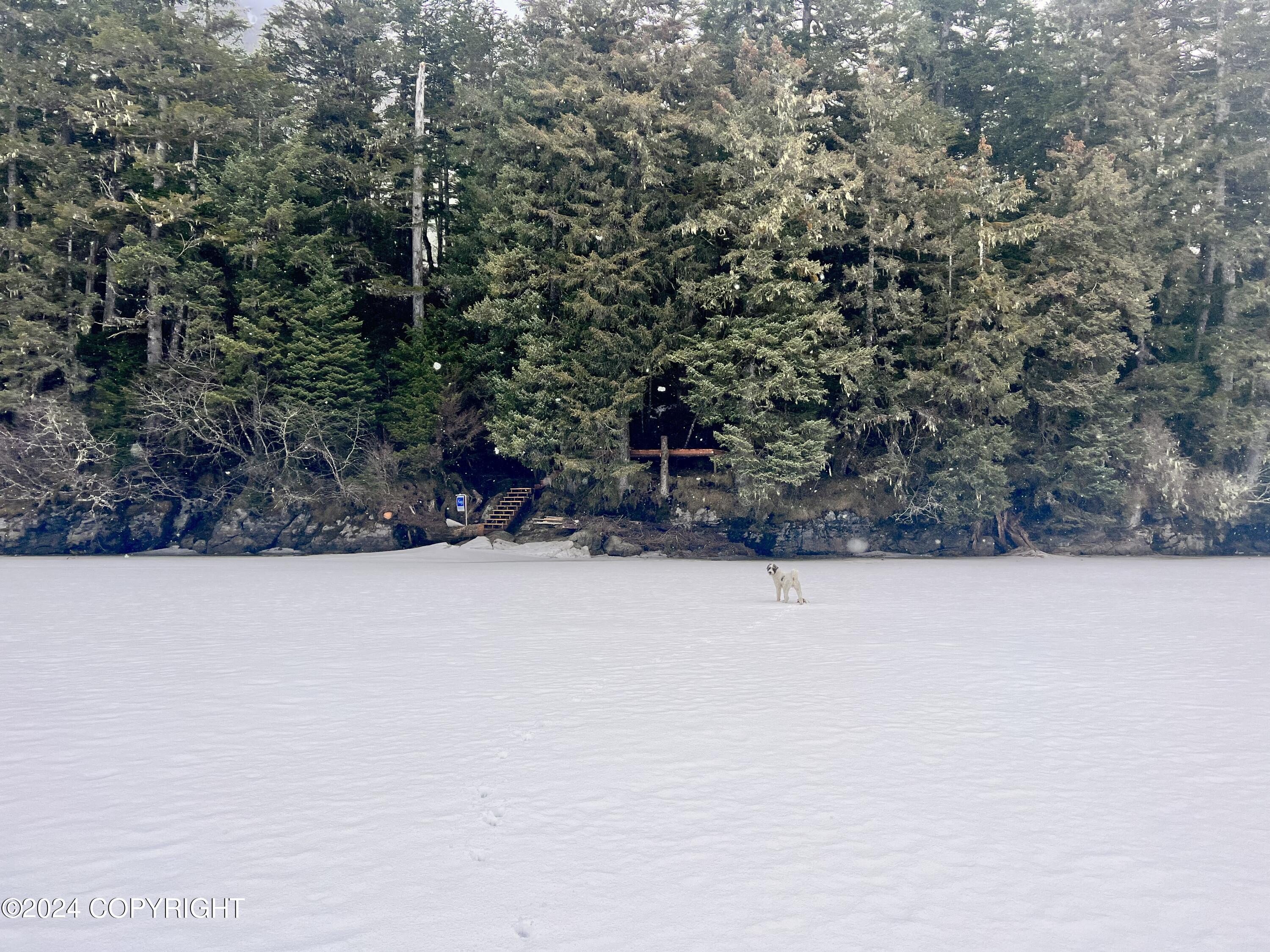 Tr C Little Johnstone Lake Rd, Seward, Alaska image 39