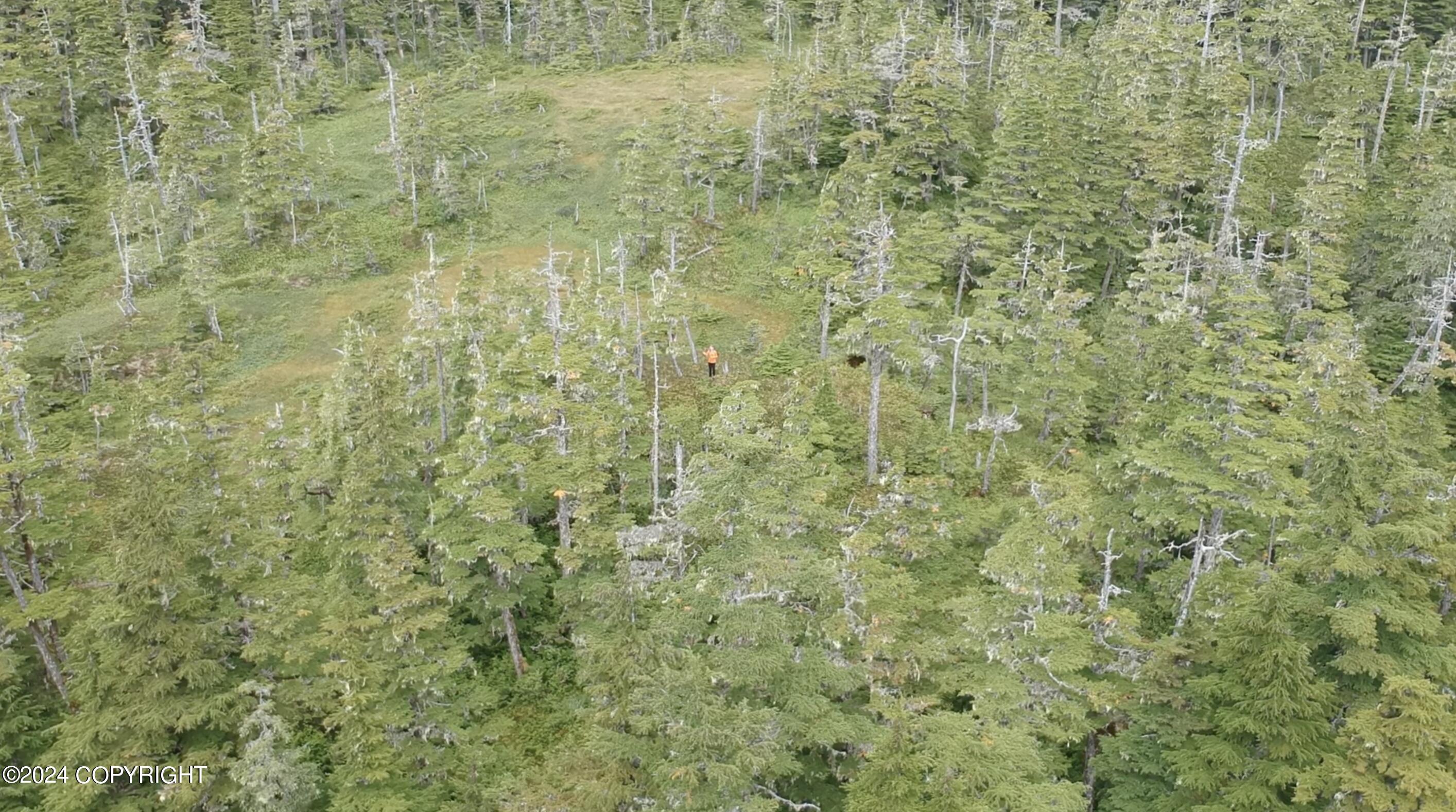Tr C Little Johnstone Lake Rd, Seward, Alaska image 28