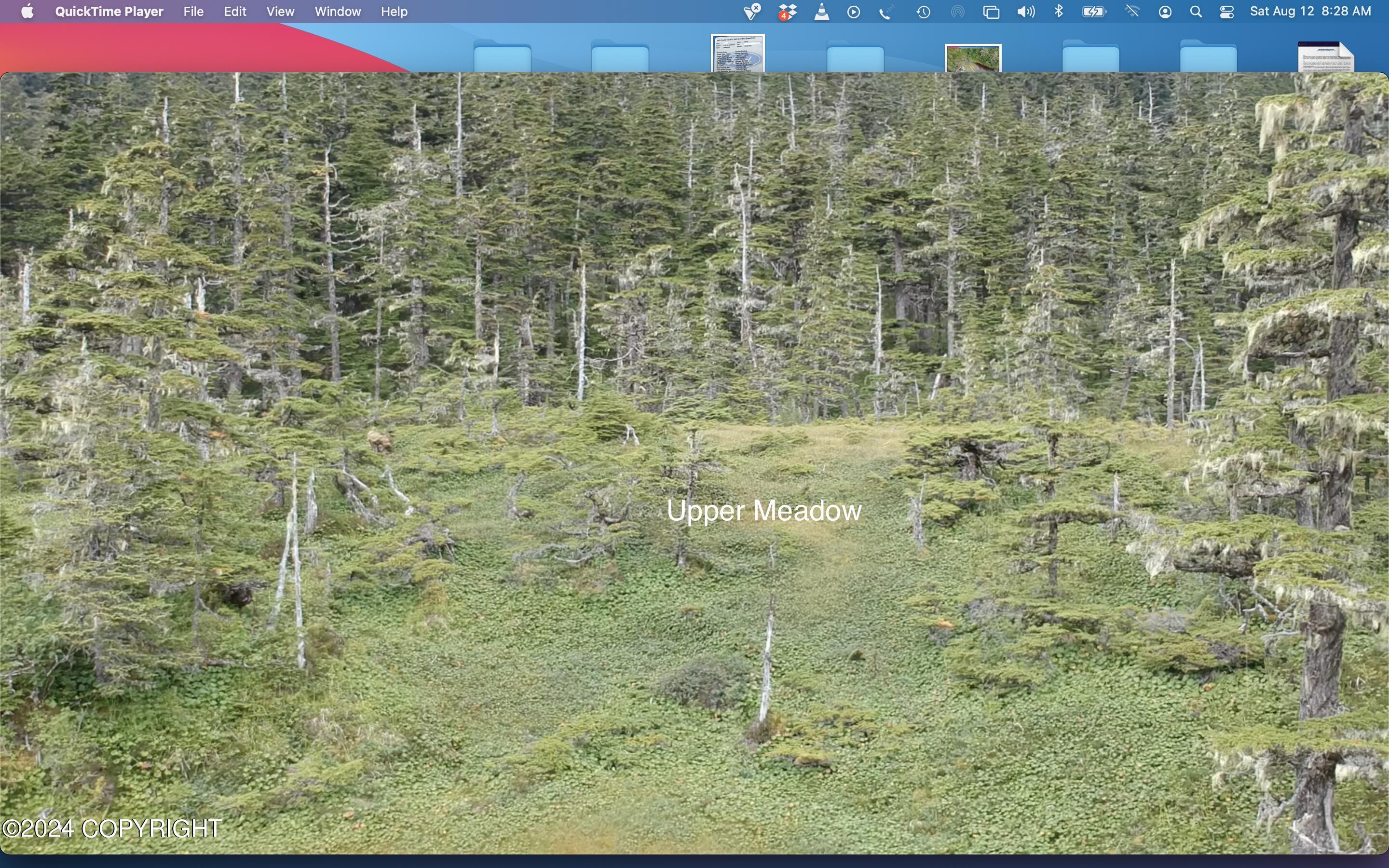 Tr C Little Johnstone Lake Rd, Seward, Alaska image 30