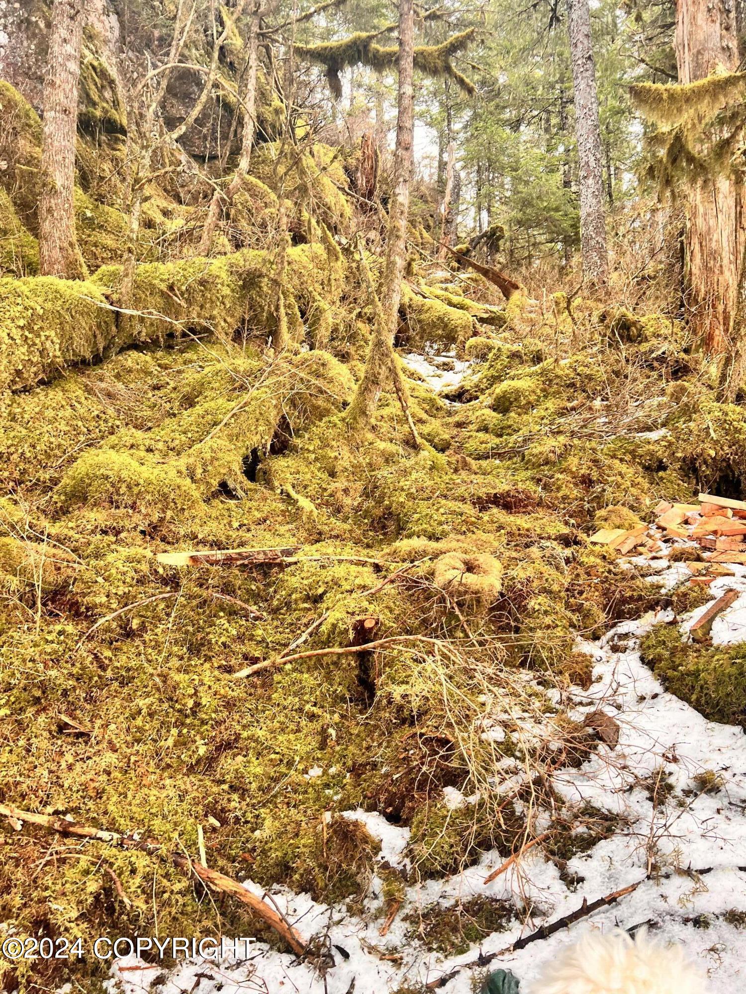Tr C Little Johnstone Lake Rd, Seward, Alaska image 45