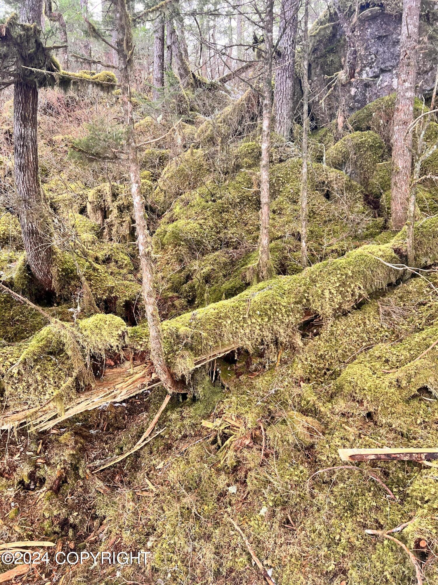 Tr C Little Johnstone Lake Rd, Seward, Alaska image 48