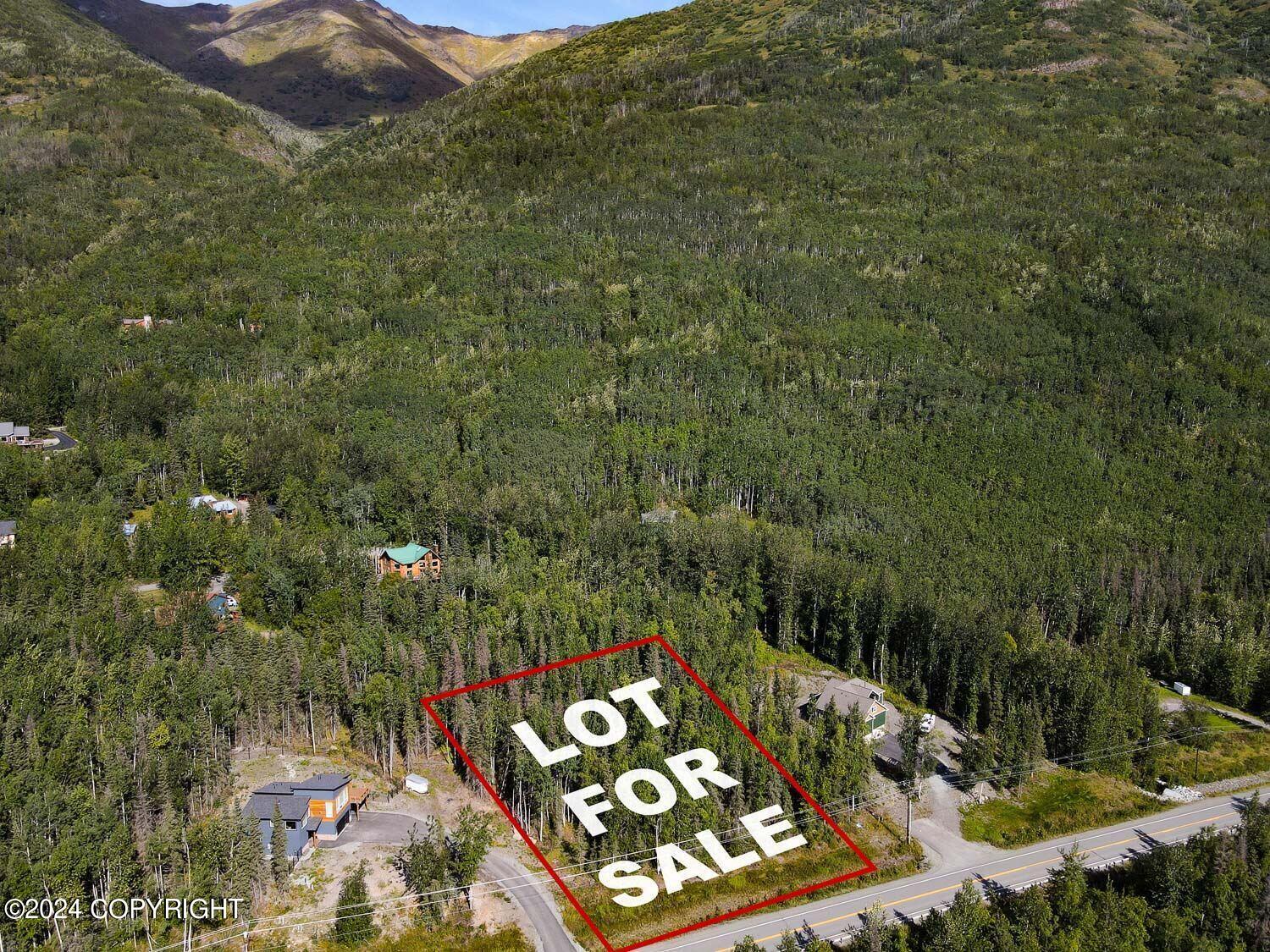 L9 Overlook Estates #2 Lane, Eagle River, Idaho image 1