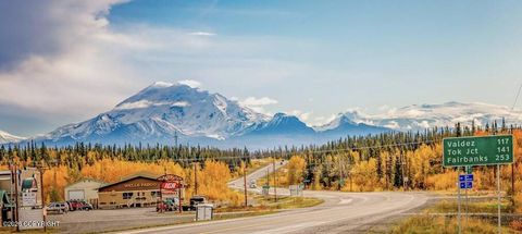 Vacant Land For Sale - L10 Wandering Drive<br/> Glennallen, AK 99588