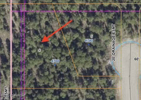 Photo of 4766 N Shanny Lane, Wasilla, AK 99654 (MLS # 26-4141)