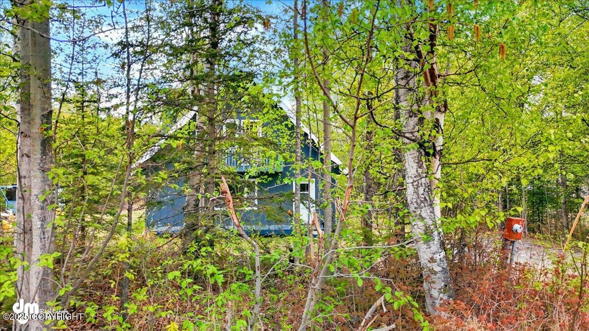 4801 E Alder Drive, Wasilla, Alaska image 31