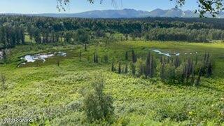 9170 S Cache Crk Drive, Trapper Creek, Alaska image 14